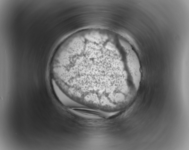 X0000088080952200706081727