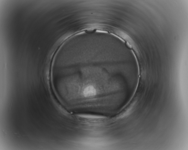 X0000088080954200706081727