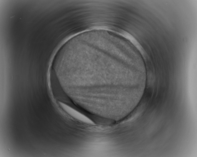 X0000088080955200706081727