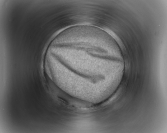 X0000088080956200706081727