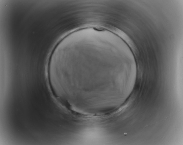 X0000088080958200706081727