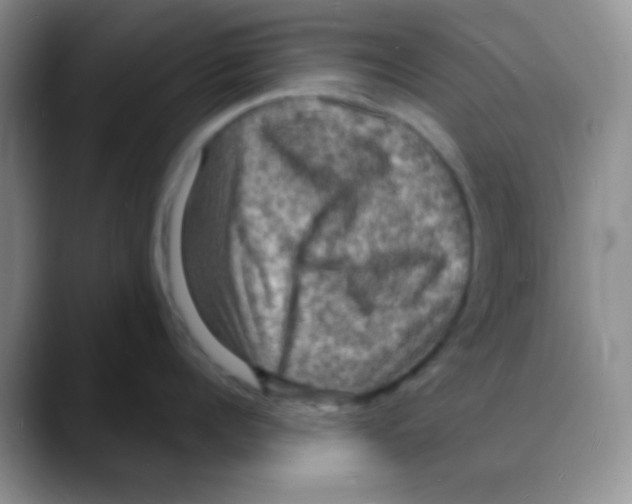 X0000088080960200706081727