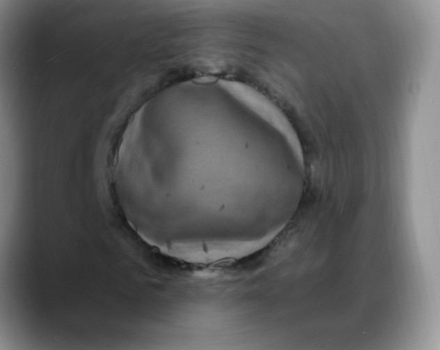 X0000088080961200706081726