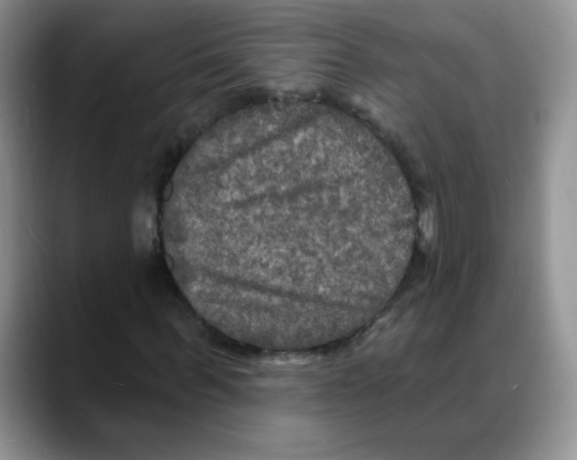 X0000088080963200706081726