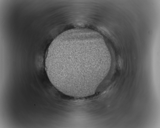 X0000088080964200706081726
