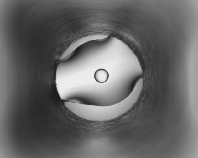 X0000088080965200706081726