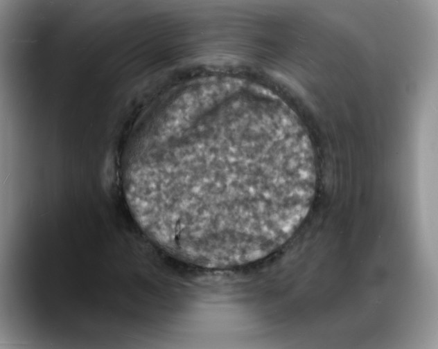 X0000088080966200706081726