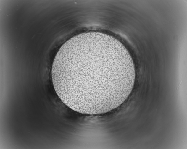 X0000088080967200706081726