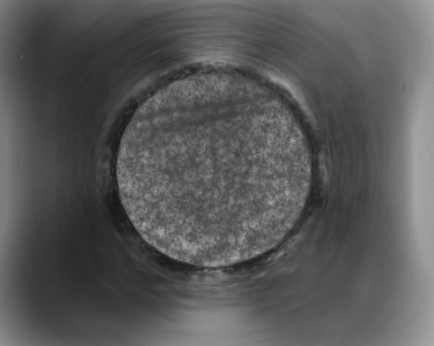 X0000088080968200706081726
