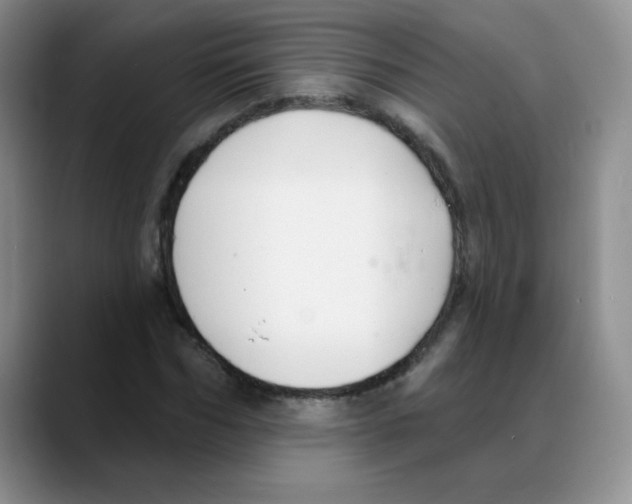 X0000088080970200706081726