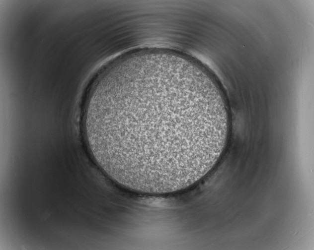 X0000088080971200706081726