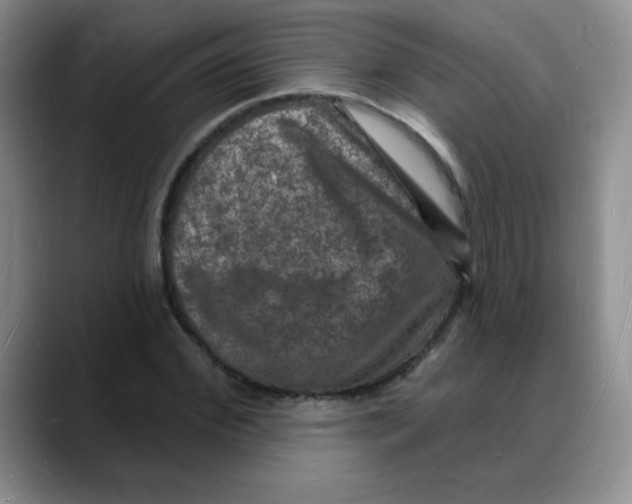 X0000088080972200706081726