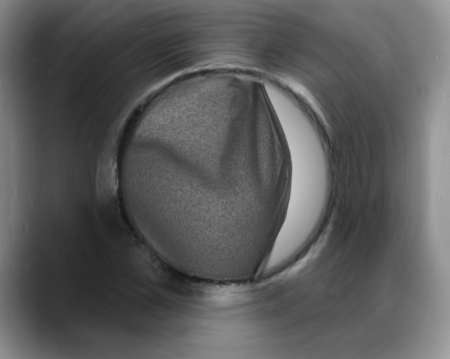 X0000088080973200706081726