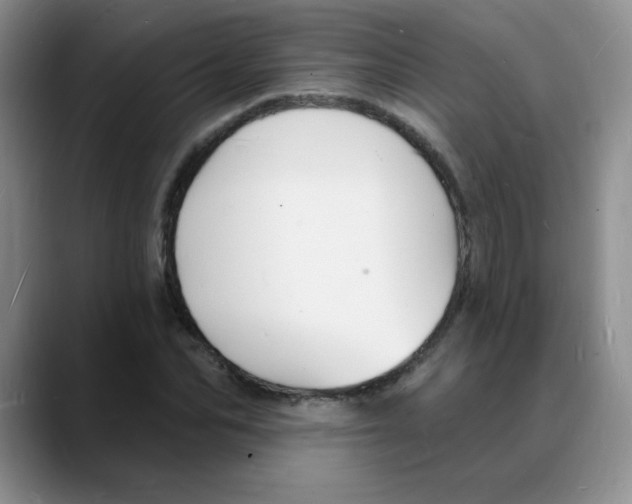 X0000088080974200706081726