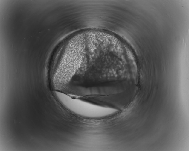 X0000088080975200706081726