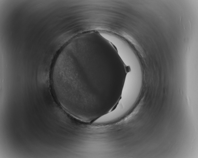 X0000088080977200706081726