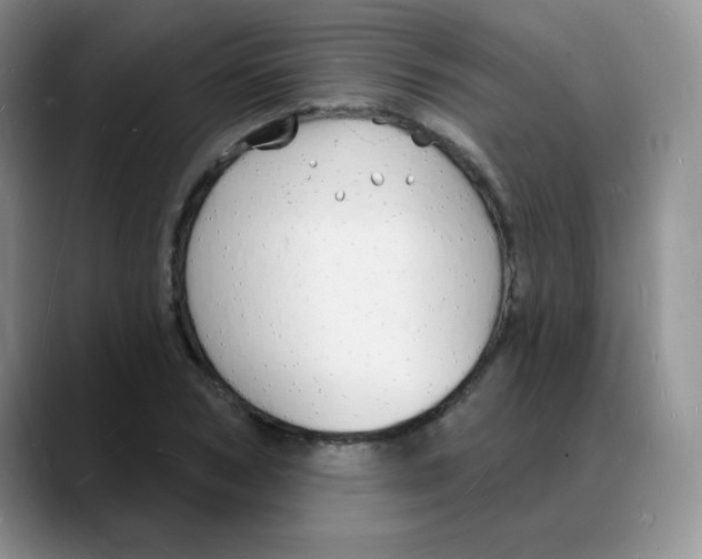 X0000088080978200706081726