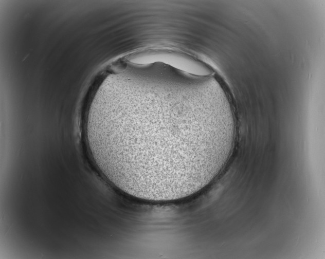 X0000088080979200706081726