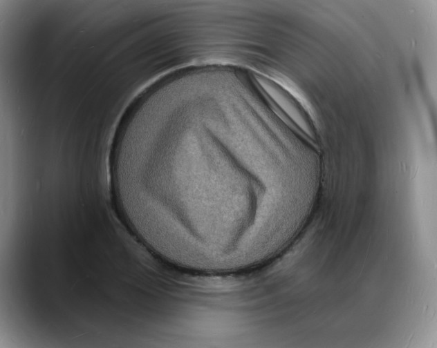 X0000088080980200706081726
