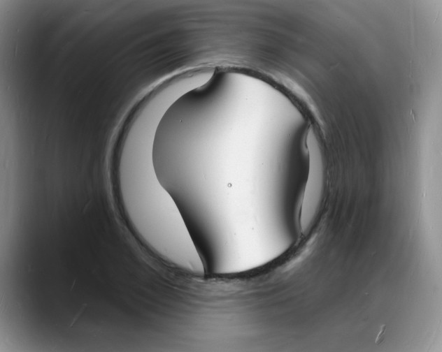 X0000088080981200706081726