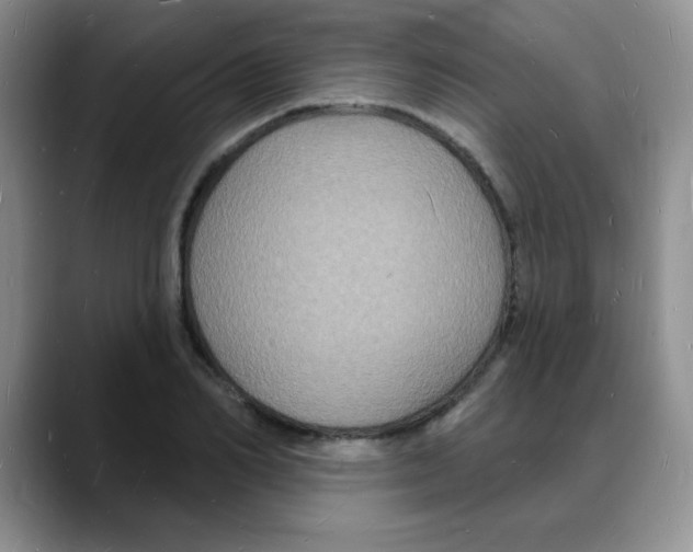 X0000088080982200706081726