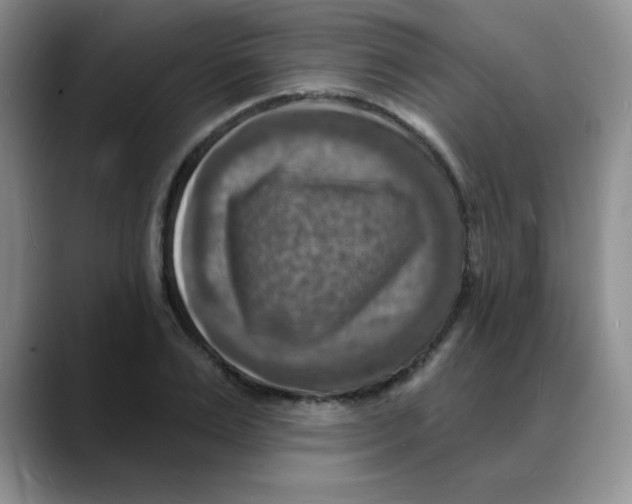 X0000088080983200706081726