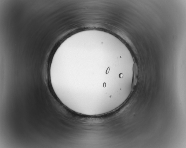 X0000088080984200706081726