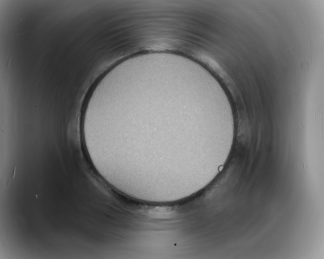 X0000088080986200706081726