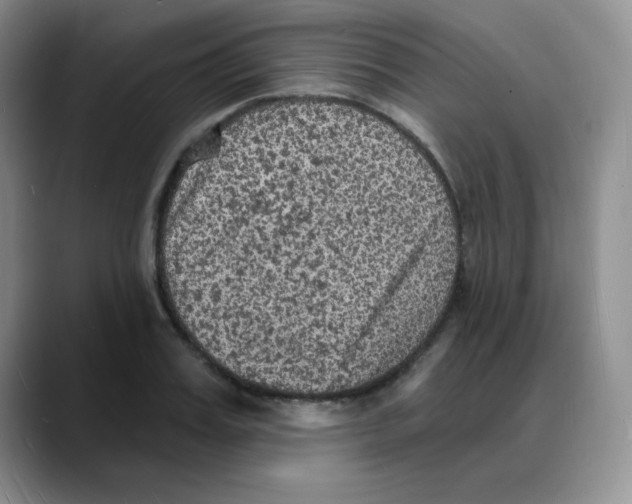 X0000088080987200706081726