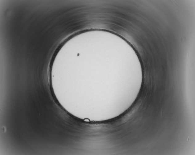 X0000088080988200706081726