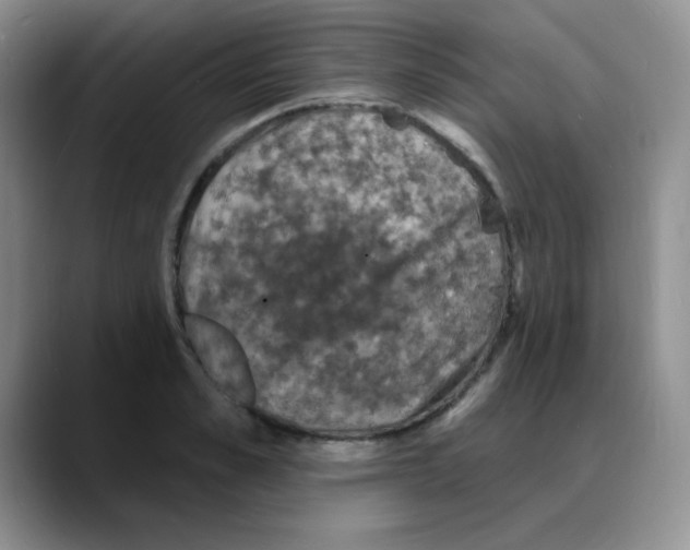 X0000088080989200706081726