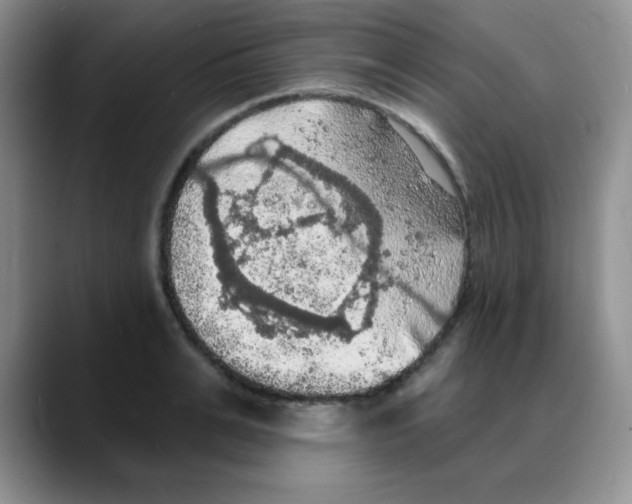X0000088080991200706081726