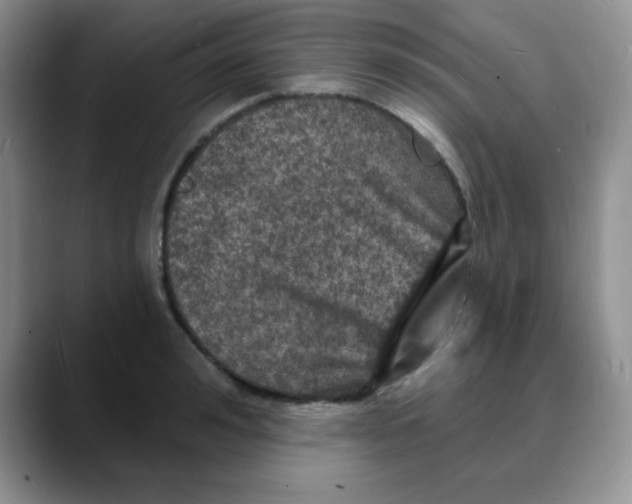 X0000088080992200706081726
