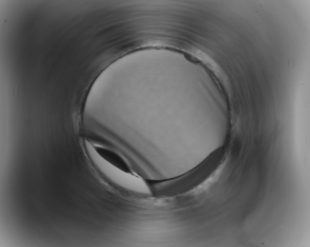 X0000088080993200706081726
