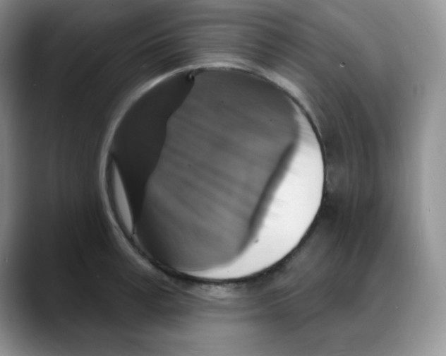 X0000088080995200706081726