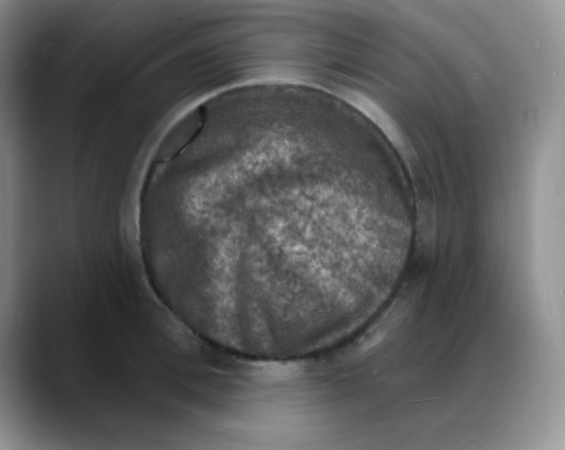X0000088080996200706081726
