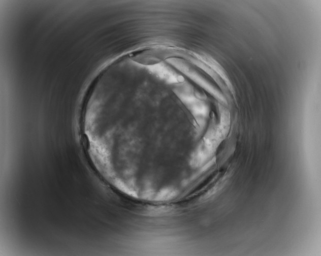 X0000088080997200706081726