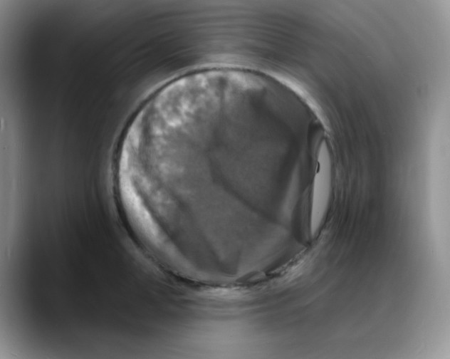 X0000088080998200706081726
