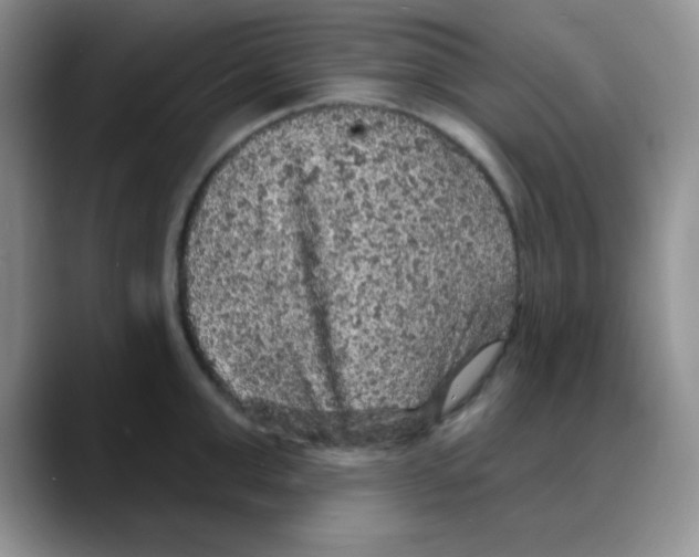 X0000088080999200706081726