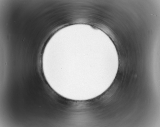 X0000088081000200706081726