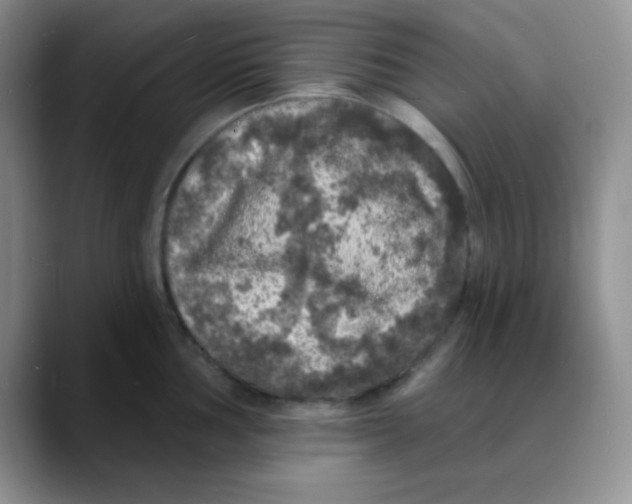 X0000088081002200706081726