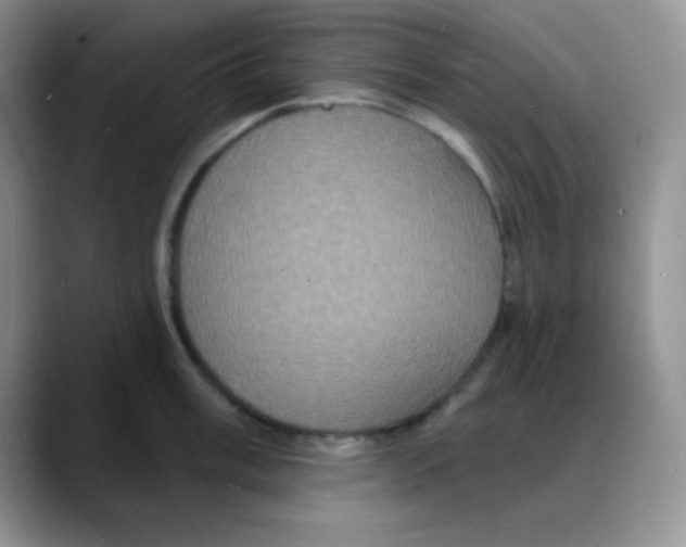 X0000088081003200706081726