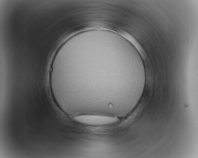 X0000088081004200706081726