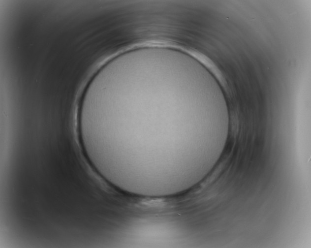 X0000088081006200706081726