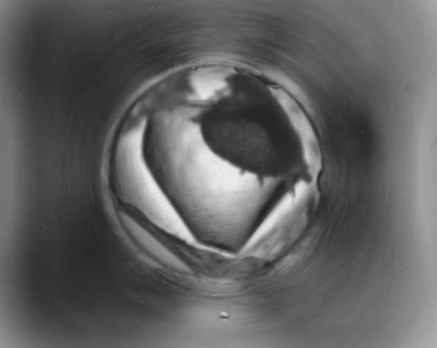 X0000088081007200706081726