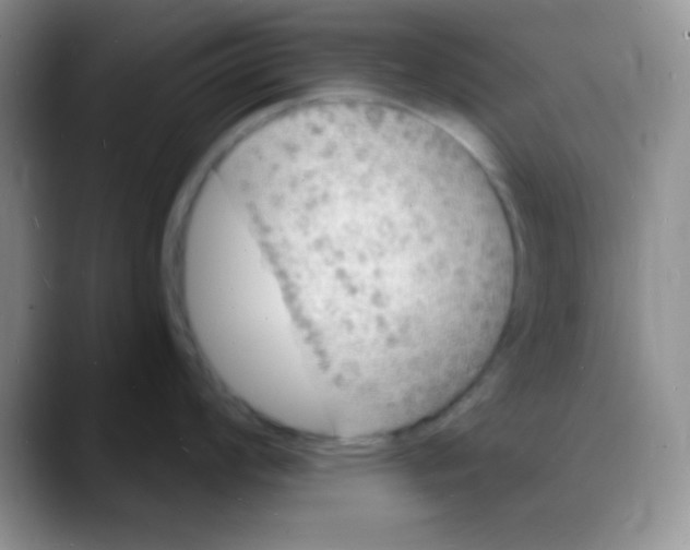 X0000088081008200706081726