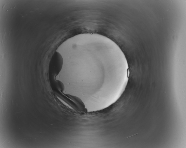 X0000088081009200706081725