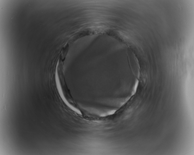 X0000088081010200706081725