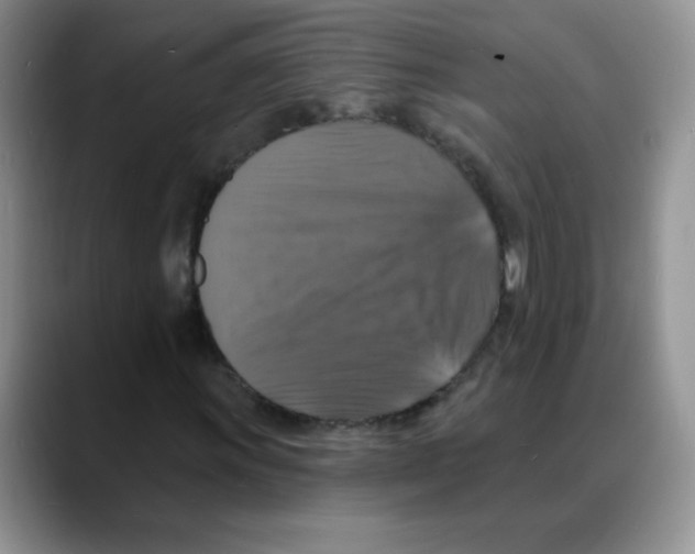 X0000088081011200706081725