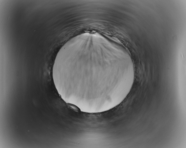 X0000088081013200706081725